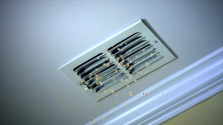 Best Air Duct Sanitizing Services  in Mango, FL