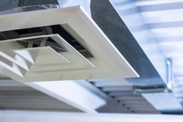 Best Affordable Duct Cleaning Services  in Mango, FL