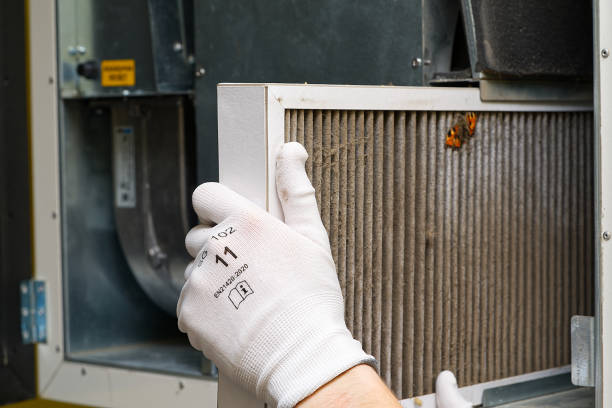 Best HVAC Air Duct Cleaning  in Mango, FL