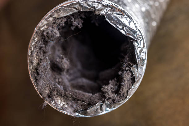 HVAC System Cleaning in Mango, FL