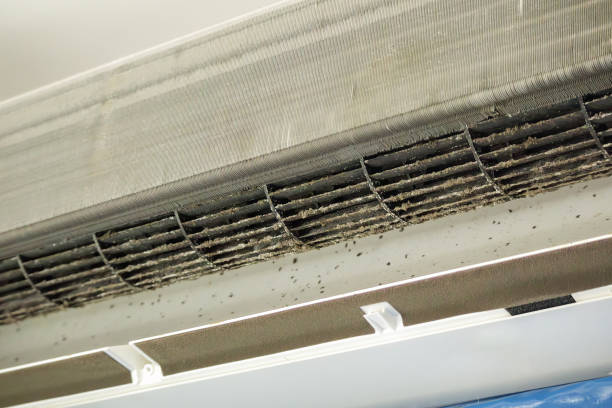 Best General Air Duct Cleaning  in Mango, FL