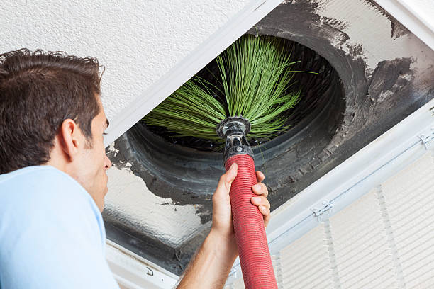 Best Affordable HVAC Duct Cleaning  in Mango, FL
