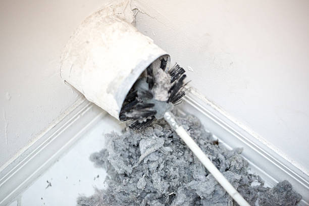 Best Air Duct Cleaning Near Me  in Mango, FL